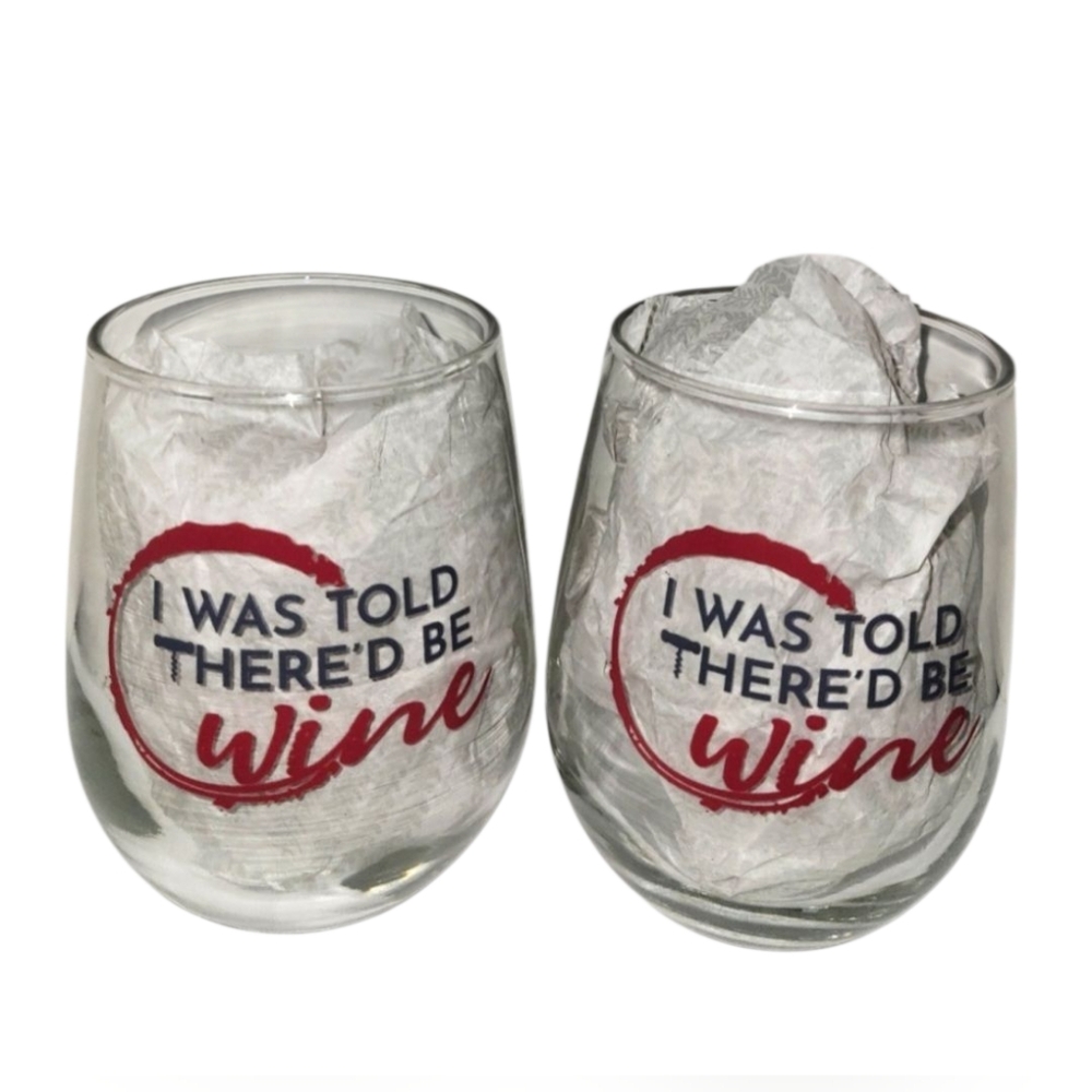 2 Piece Stemless Wine Glass Set (I Was Told There'd Be Wine)